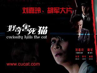 电影好奇害死猫在线观看,揭秘电影背后的悬疑世界 第3张 电影好奇害死猫在线观看,揭秘电影背后的悬疑世界 第3张